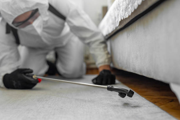 Professional Bed Bug Control technician working in South Monroe, MI
