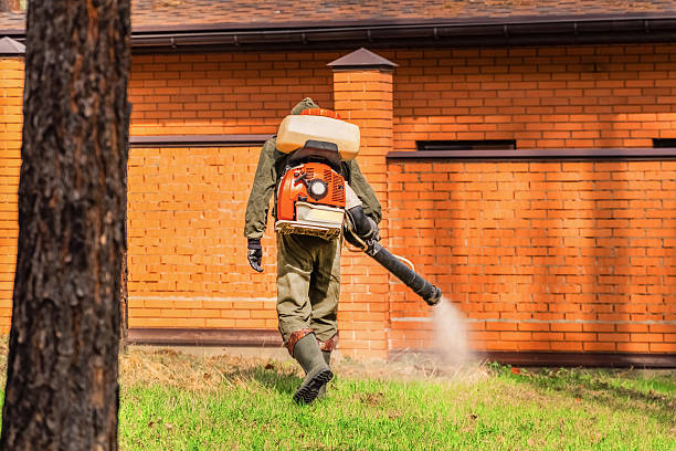 Trusted Bed Bug Control service in South Monroe, MI - Nex Pest Control